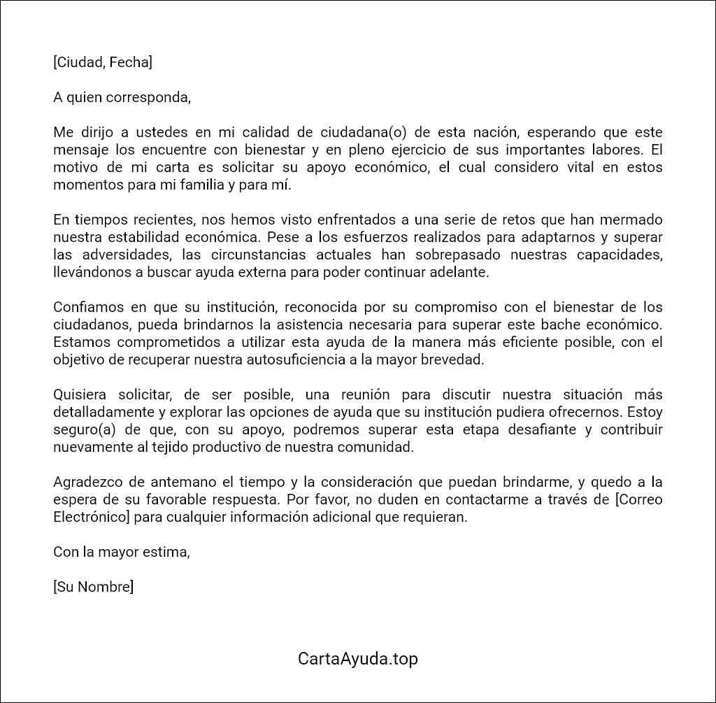 carta para solicitar ayuda económica al gobierno plantilla